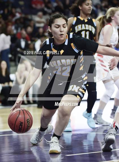 Thumbnail 2 in Seton Catholic vs Shadow Mountain (AIA 4A Semifinal) photogallery.