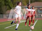 Photo from the gallery "San Benito @ Menlo-Atherton"