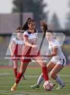 Photo from the gallery "San Benito @ Menlo-Atherton"