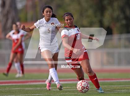 Thumbnail 3 in San Benito @ Menlo-Atherton photogallery.