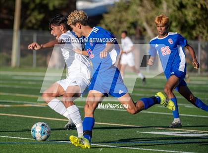 Thumbnail 1 in Cherry Creek vs Lakewood photogallery.