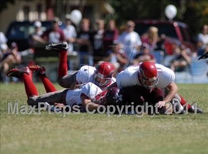 Thumbnail 3 in Frankfort @ Benton photogallery.
