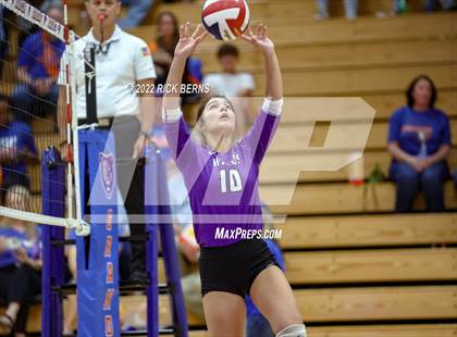 Thumbnail 1 in Willis @ Grand Oaks photogallery.