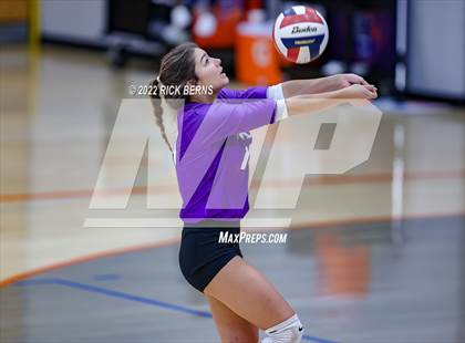 Thumbnail 3 in Willis @ Grand Oaks photogallery.