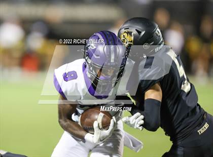 Thumbnail 1 in Fayetteville @ Bentonville photogallery.