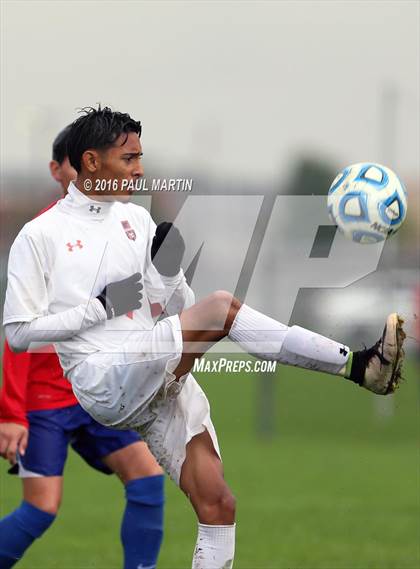 Thumbnail 2 in Marmion @ Oswego photogallery.