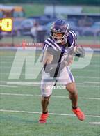 Photo from the gallery "Commerce @ Luella"