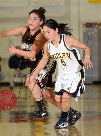 Thumbnail 1 in Yuba City vs. Gridley (Lady Bulldog Holiday Classic) photogallery.