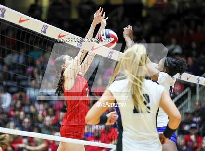 Thumbnail 1 in Byron Nelson vs. Dawson (UIL 6A D1 Volleyball Final) photogallery.