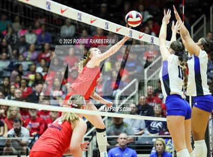 Thumbnail 3 in Byron Nelson vs. Dawson (UIL 6A D1 Volleyball Final) photogallery.