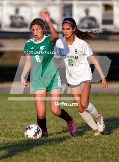 Thumbnail 1 in Cathedral vs Lawrence North (IHSAA Class 3A Sectional Semi Final)  photogallery.