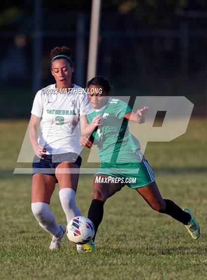 Thumbnail 1 in Cathedral vs Lawrence North (IHSAA Class 3A Sectional Semi Final)  photogallery.
