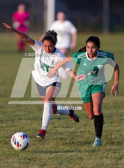 Thumbnail 1 in Cathedral vs Lawrence North (IHSAA Class 3A Sectional Semi Final)  photogallery.