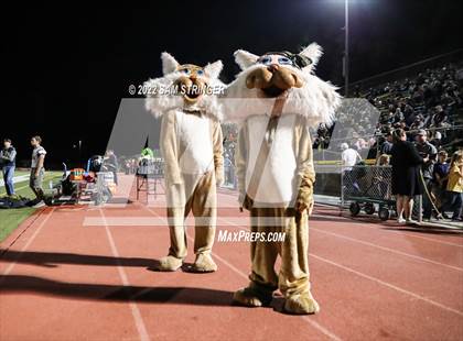 Thumbnail 2 in Antelope @ Sonora photogallery.