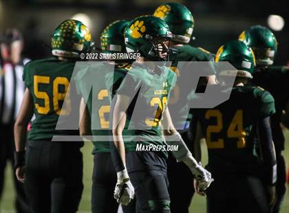 Thumbnail 1 in Antelope @ Sonora photogallery.