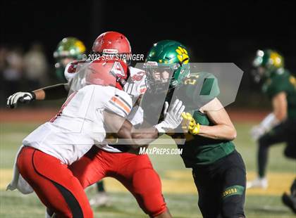 Thumbnail 1 in Antelope @ Sonora photogallery.