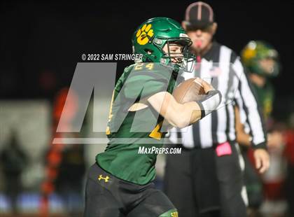 Thumbnail 1 in Antelope @ Sonora photogallery.