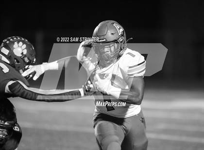 Thumbnail 3 in Antelope @ Sonora photogallery.