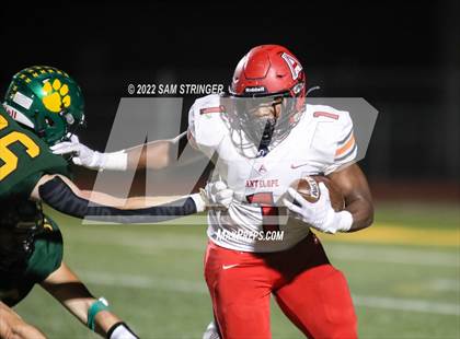 Thumbnail 1 in Antelope @ Sonora photogallery.