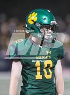 Photo from the gallery "Antelope @ Sonora"