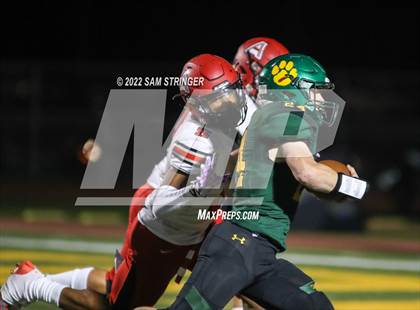 Thumbnail 1 in Antelope @ Sonora photogallery.