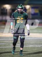 Photo from the gallery "Antelope @ Sonora"