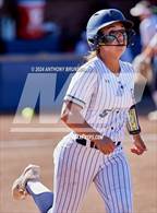 Photo from the gallery "Dixon vs. Central Catholic (CIF SJS D4 Final)"