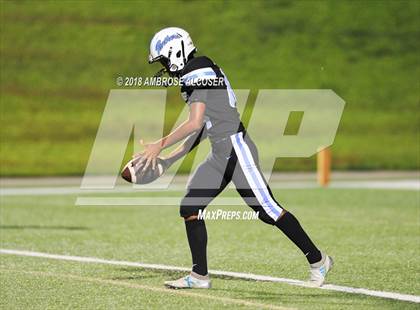 Thumbnail 3 in Stafford @ Paetow photogallery.