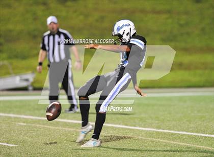 Thumbnail 1 in Stafford @ Paetow photogallery.