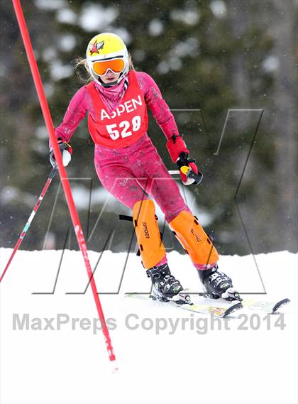 Thumbnail 2 in CHSAA State Slalom Championships (Day 2 - Run 2) photogallery.