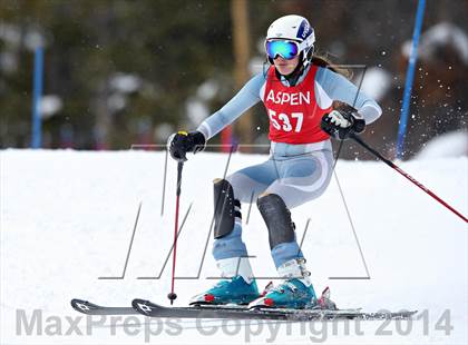 Thumbnail 3 in CHSAA State Slalom Championships (Day 2 - Run 2) photogallery.