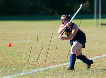 Thumbnail 3 in Panas @ Pawling photogallery.