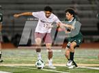 Photo from the gallery "Las Lomas @ Concord"
