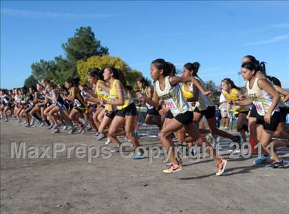 Thumbnail 3 in CIF LACS Cross Country Championships photogallery.
