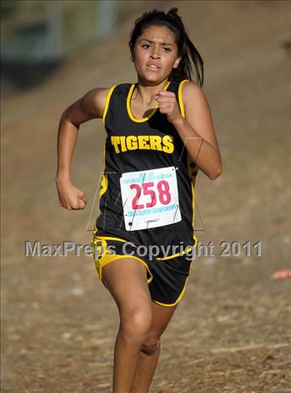 Thumbnail 2 in CIF LACS Cross Country Championships photogallery.