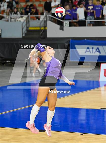 Thumbnail 1 in Chaparral vs. Sunrise Mountain (AIA 5A Final) photogallery.