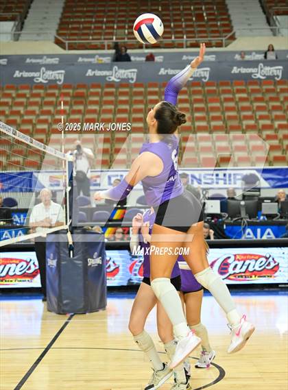 Thumbnail 1 in Chaparral vs. Sunrise Mountain (AIA 5A Final) photogallery.