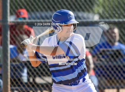 Thumbnail 1 in Fruita Monument vs. Chandler (Coach Bob National Invitational) photogallery.