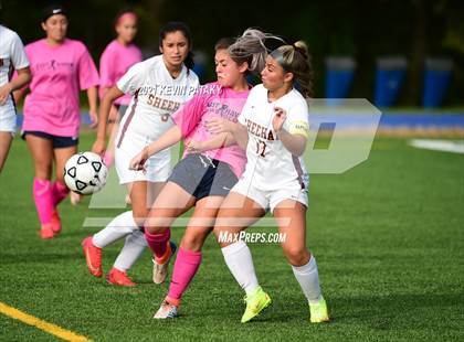 Thumbnail 2 in Sheehan @ East Haven photogallery.