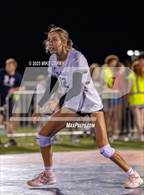 Photo from the gallery "Piper @ Mill Valley"