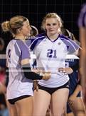 Photo from the gallery "Piper @ Mill Valley"