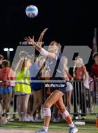 Photo from the gallery "Piper @ Mill Valley"
