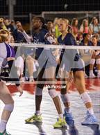Photo from the gallery "Piper @ Mill Valley"