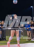 Photo from the gallery "Piper @ Mill Valley"