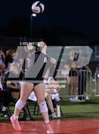 Photo from the gallery "Piper @ Mill Valley"