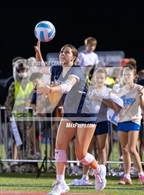 Photo from the gallery "Piper @ Mill Valley"