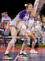 Photo from the gallery "Piper @ Mill Valley"