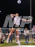 Photo from the gallery "Piper @ Mill Valley"