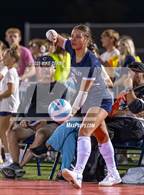 Photo from the gallery "Piper @ Mill Valley"