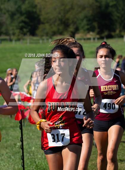 Thumbnail 2 in The Barnhardt Invitational  photogallery.